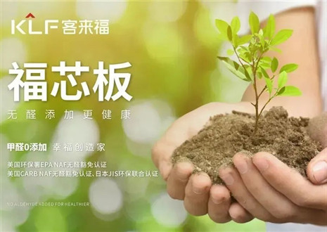 365WMSPORTS丨坚持走环保家居之路，守护国民家庭健康